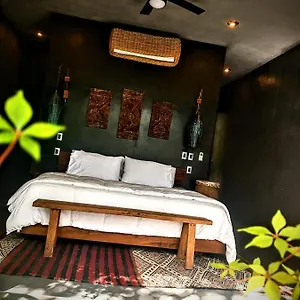 https://casa-vive-77930.quintano-roohotels.com